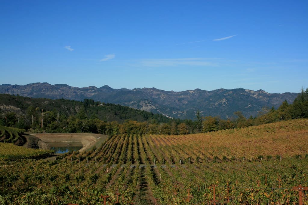 Autumn-toned vineyard rows curving over the crest of Spring Mountain at Pride Mountain Vineyards, with forested ridges beyond