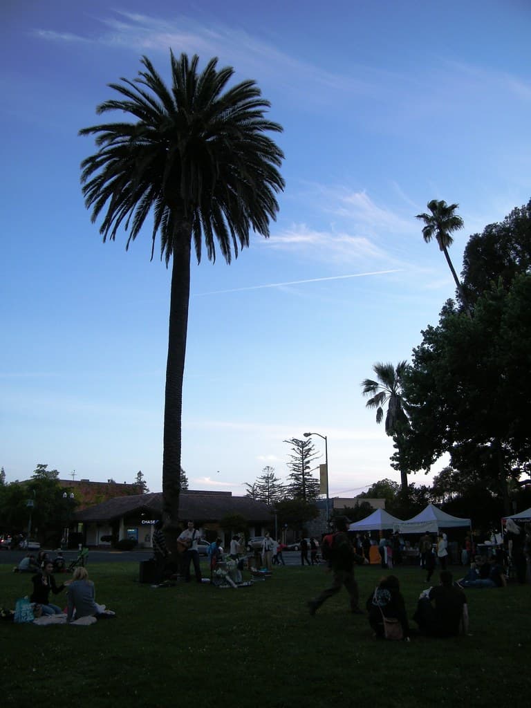Market-goers sitting on the Sonoma Plaza lawn beside white vendor tents, under a tall palm at dusk, during the Tuesday night market