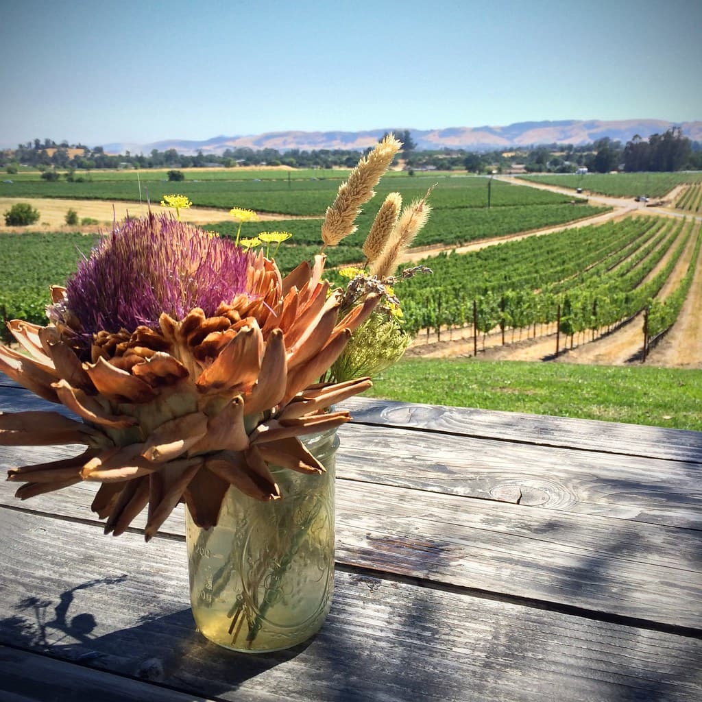 Dried-flower bouquet on a weathered outdoor table overlooking Scribe's vineyards and the hills of southern Sonoma Valley