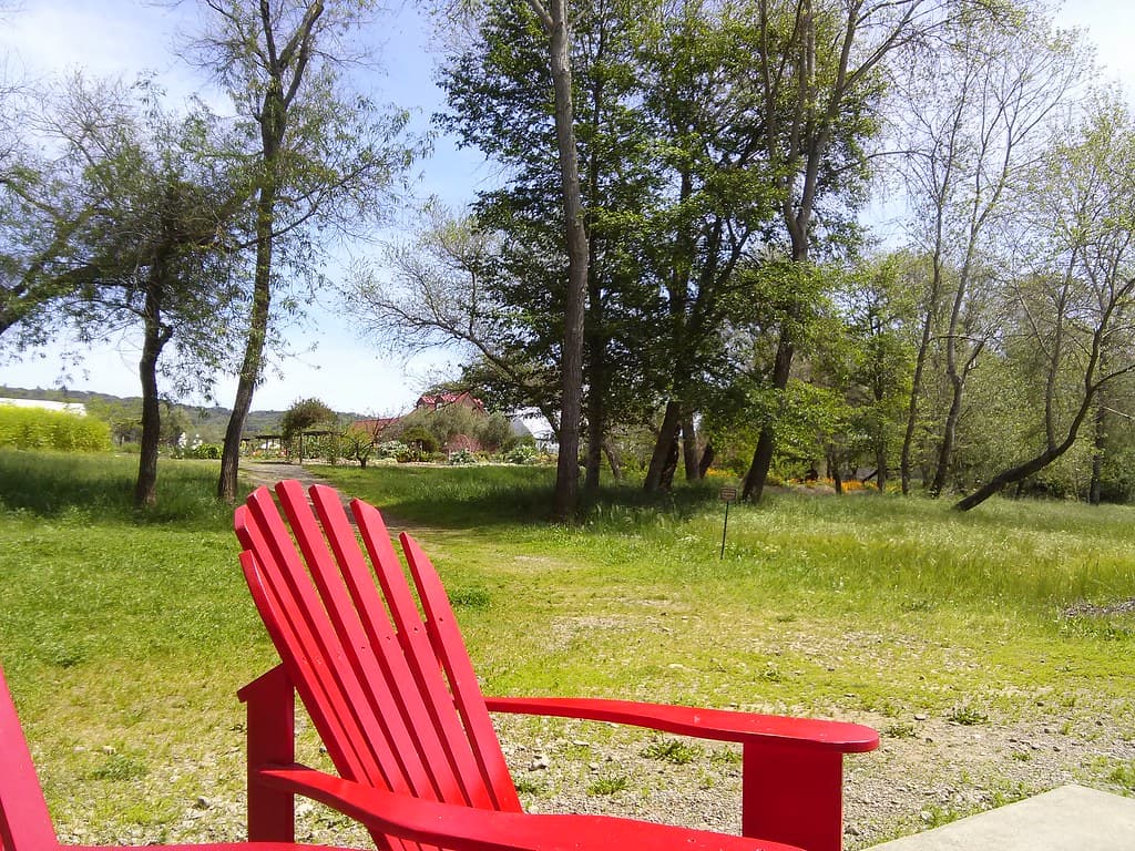 Red Adirondack chairs on a grassy creekside clearing under tall trees at the 5610 Dry Creek Road winery