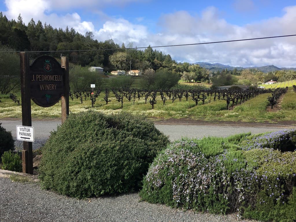 J. Pedroncelli Winery sign by the drive, with vineyards and wooded hills of Dry Creek Valley behind
