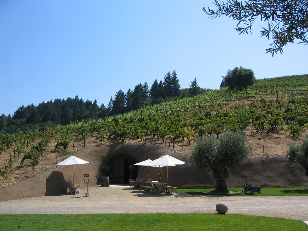 Umbrella-shaded picnic tables and an olive tree at the cave entrance below a hillside vineyard at Bella