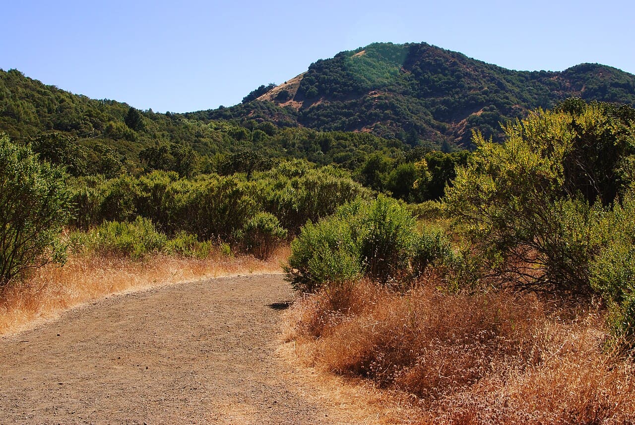 Meadow Trail curving through chaparral toward a forested peak at Sugarloaf Ridge State Park
