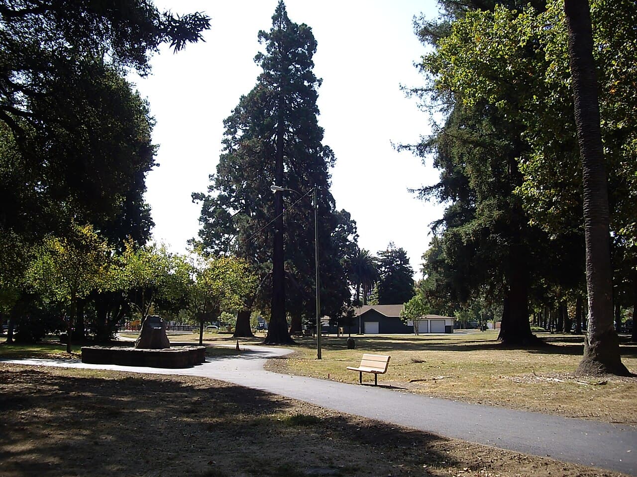 Paved path, bench and towering old trees on the lawn of Fuller Park in Napa