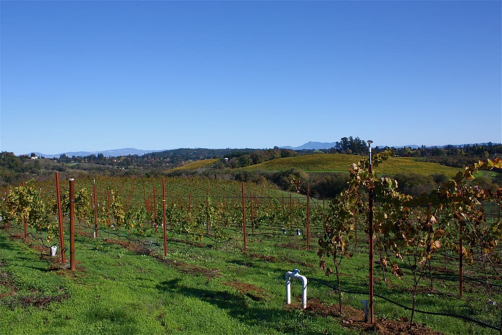Photo: Naotake Murayama (CC BY 2.0) Rolling Green Valley vineyards in autumn color under a clear sky at Iron Horse Vineyards