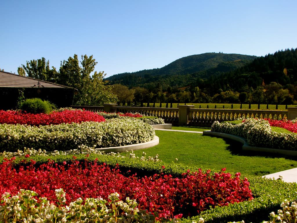 Red and white flower beds curving through the formal garden at Ferrari-Carano, with wooded hills beyond