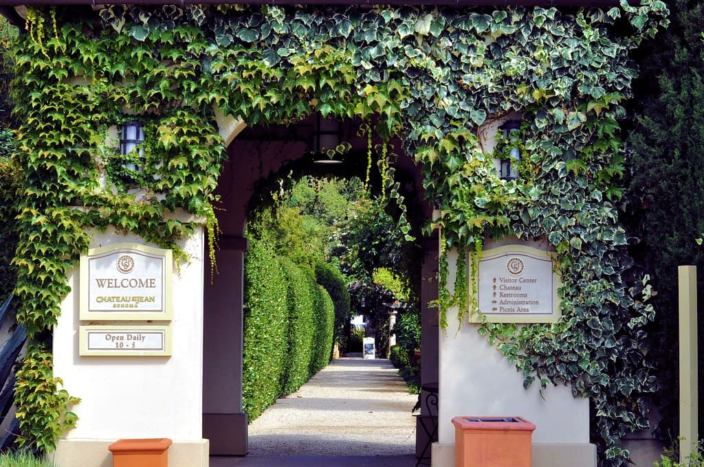 Ivy-covered entrance arch with welcome signs opening onto a hedge-lined walk at Chateau St. Jean