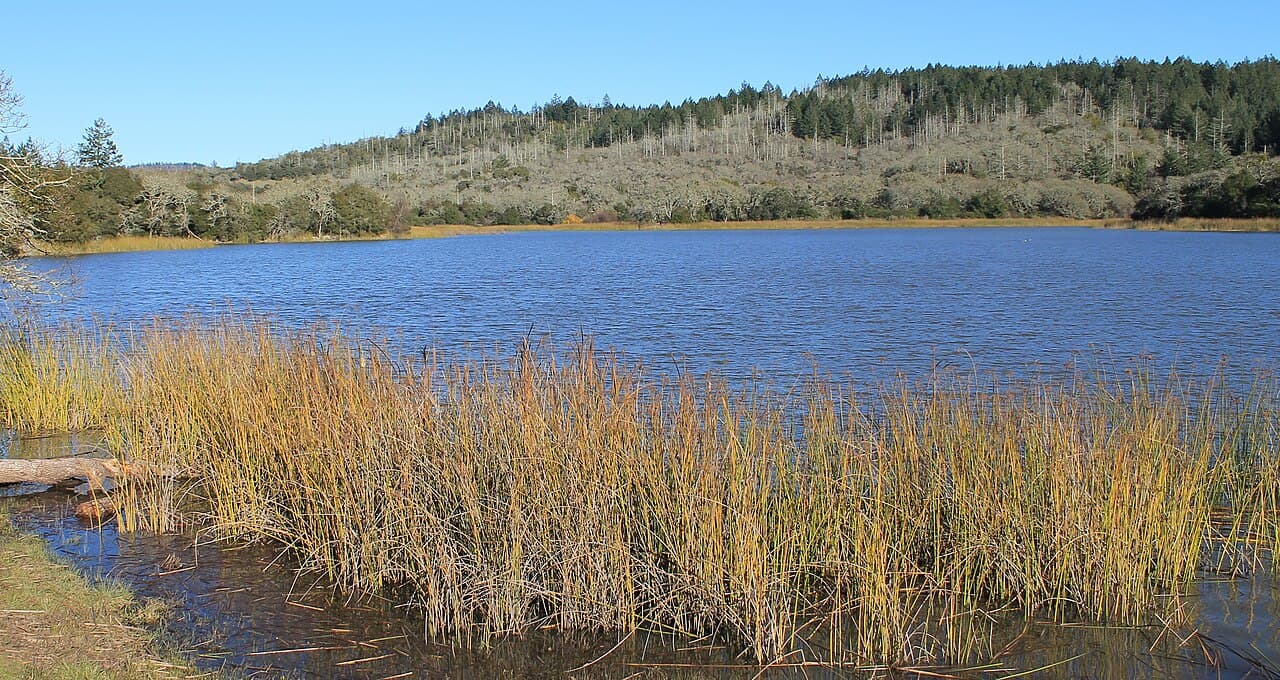 Blue water of Lake Ilsanjo fringed by reeds, with wooded ridges behind, in Trione-Annadel State Park