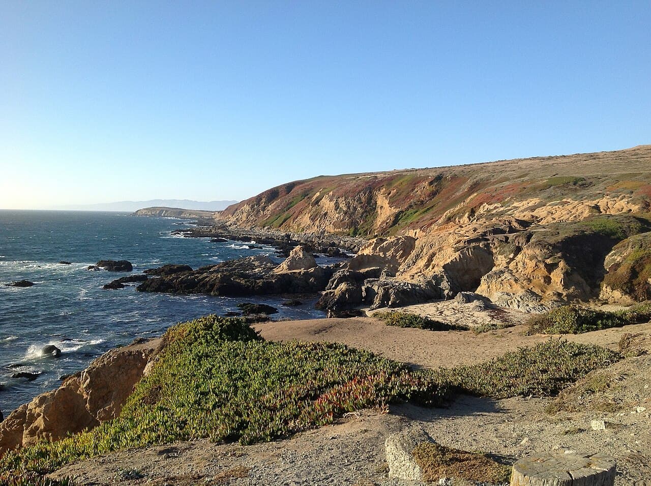 Sunlit sandstone cliffs, ice plant and rocky shoreline seen from the top of Bodega Head