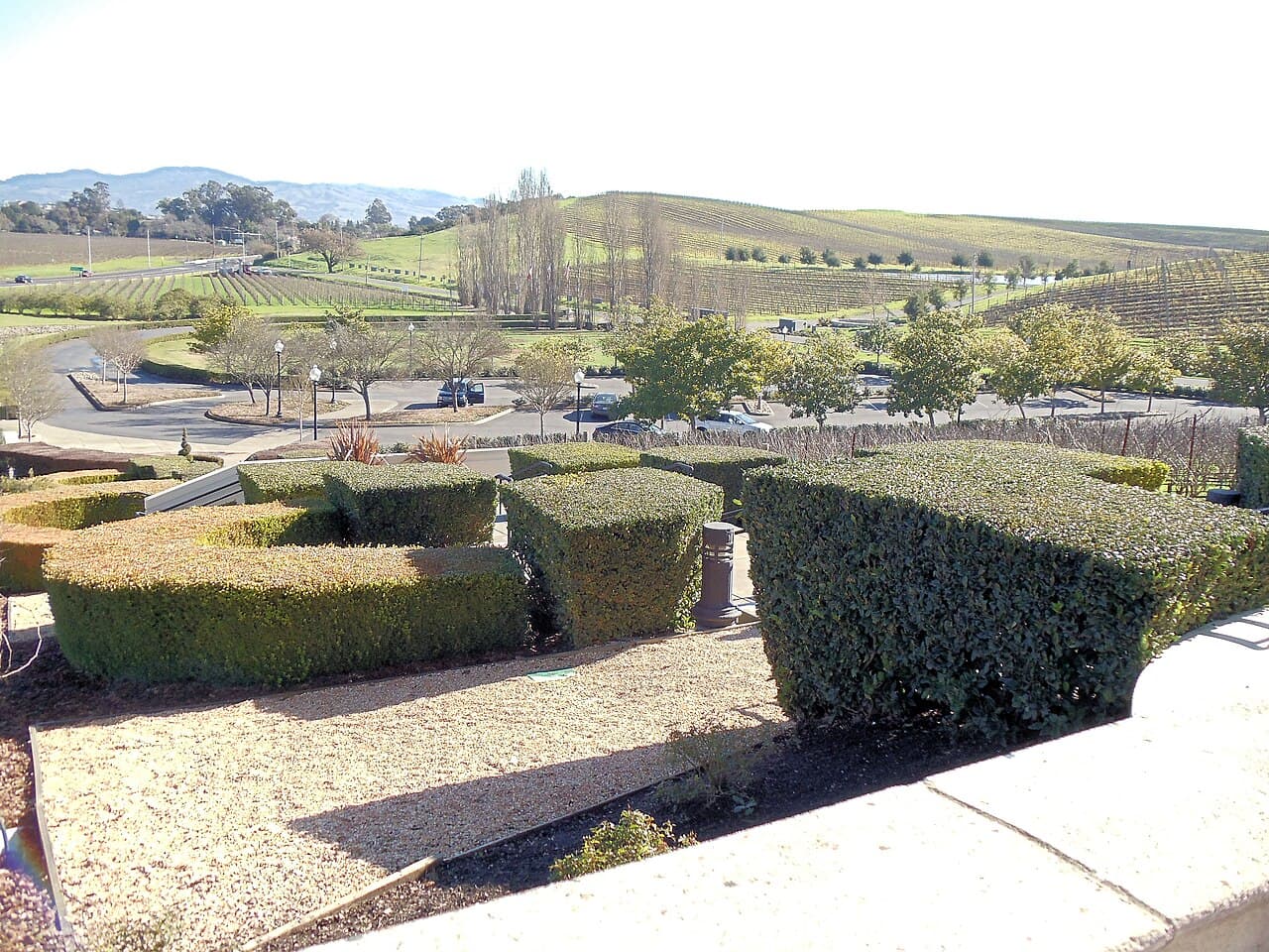 View from the Domaine Carneros terrace over clipped hedges and gardens to Carneros vineyards and hills