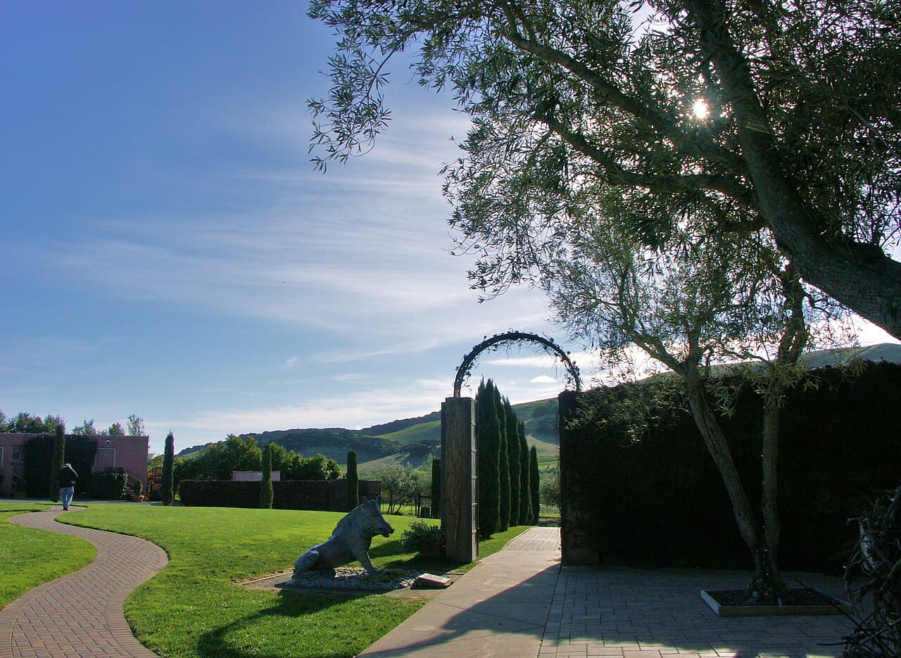 Lawn and curving brick paths with a boar statue, arbor arch and cypresses, green Carneros hills beyond, at Viansa Winery