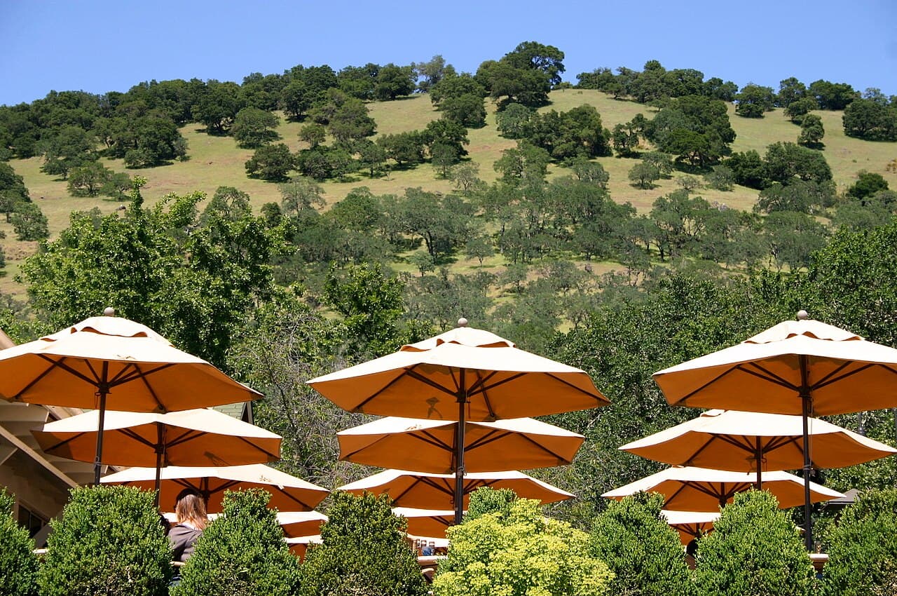 Orange umbrellas shading the outdoor tasting terrace at Mumm Napa, with oak-dotted hills behind