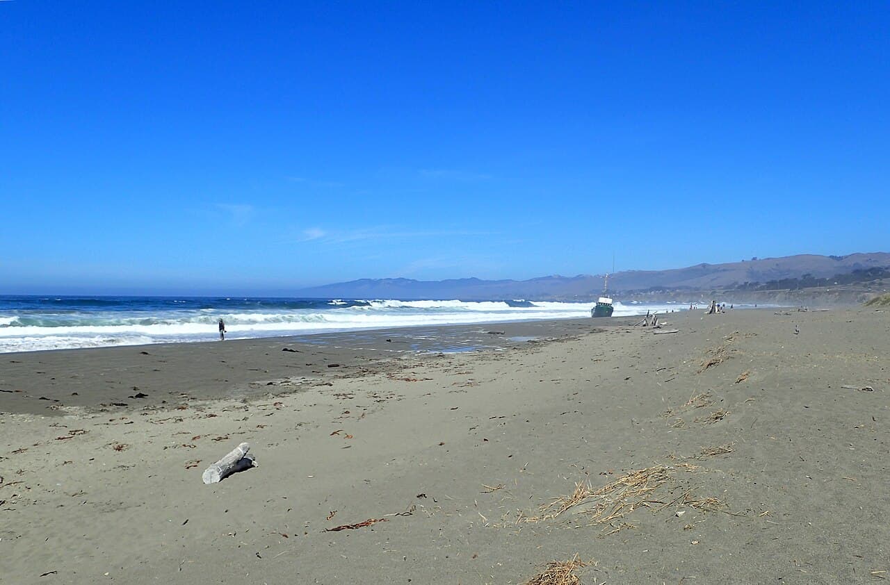 Wide sandy beach with driftwood and rolling surf below the coastal hills at Bodega Dunes, Sonoma Coast State Park