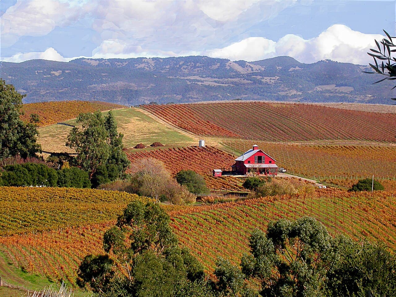 Autumn-red Carneros vineyards and a red barn below the Mayacamas range, seen from the Artesa hilltop