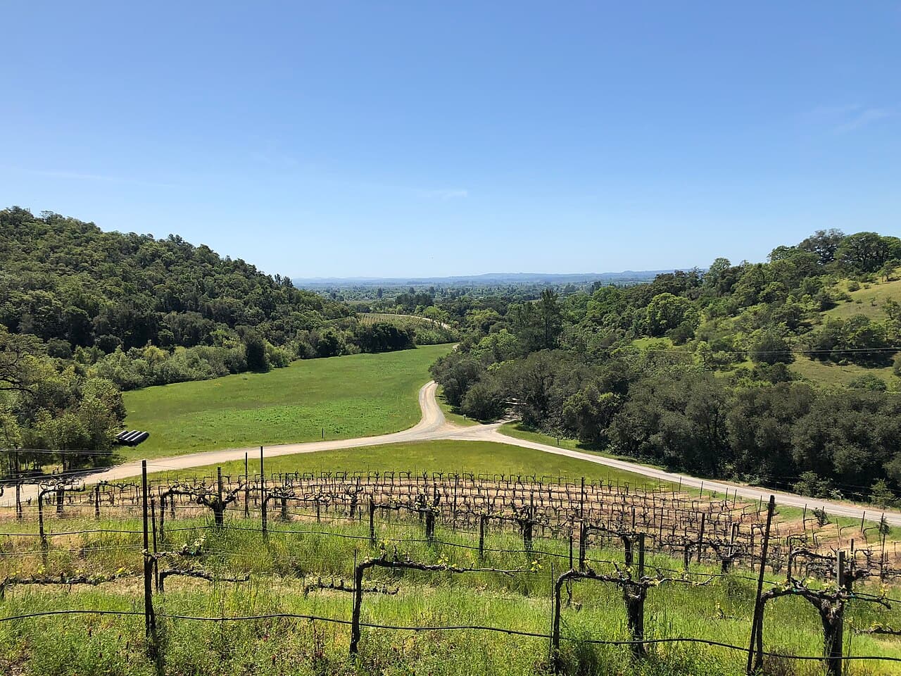 Hillside vineyard overlooking green meadows and oak woodland at Notre Vue Estate Winery