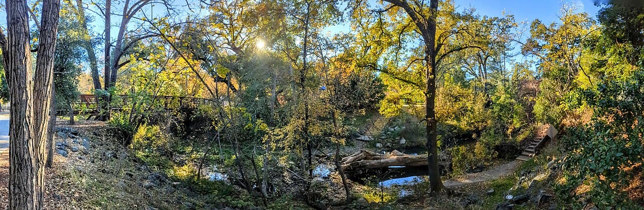 Footbridge and autumn trees along the Napa River as it runs through Pioneer Park in Calistoga