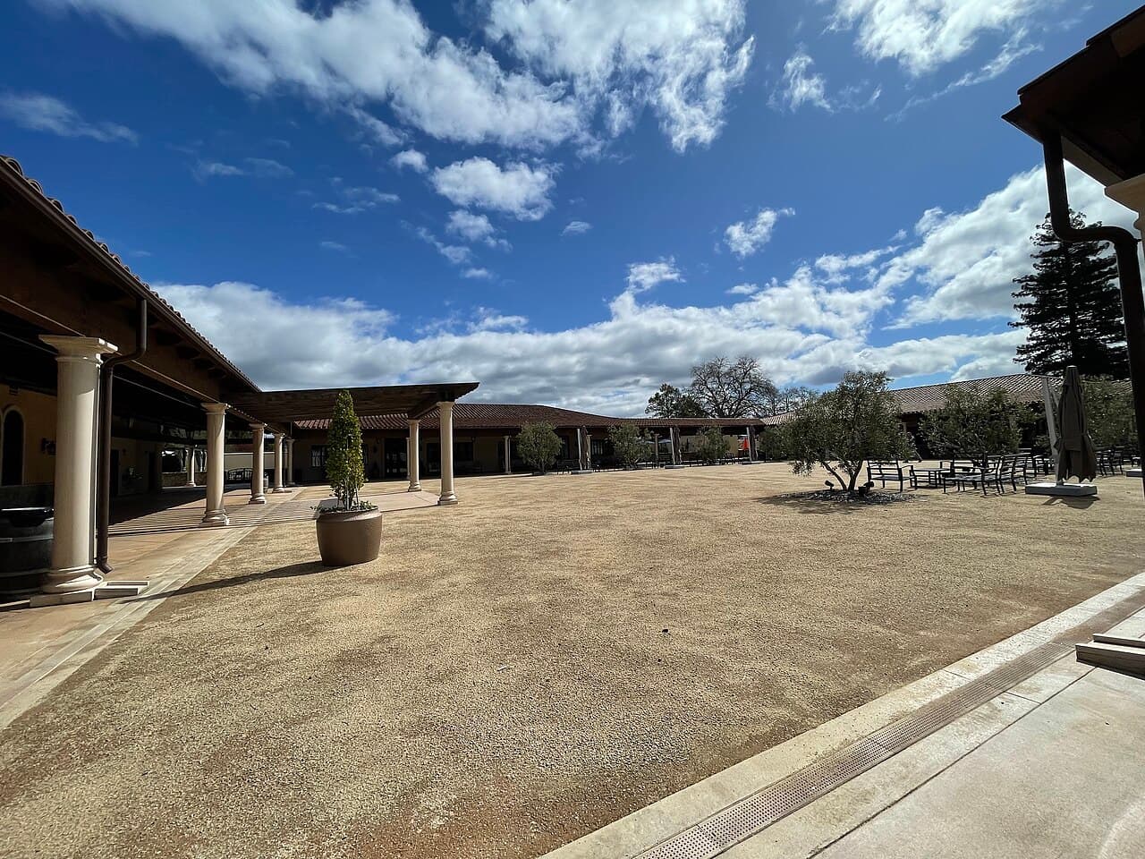 The gravel central piazza at Bacchus Landing, ringed by colonnaded tasting rooms, with olive trees and outdoor tables and chairs