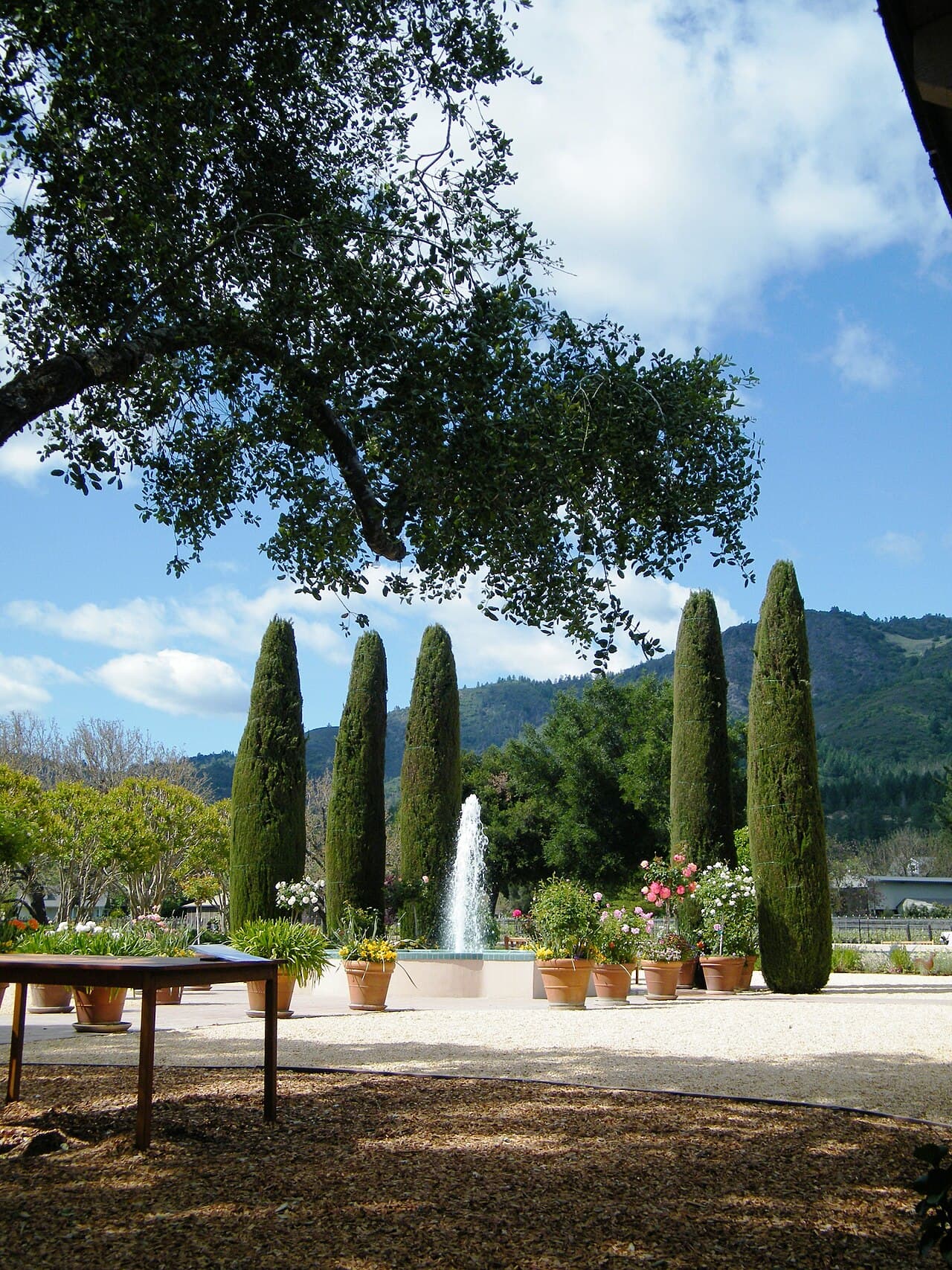 Courtyard fountain framed by Italian cypresses and potted flowers, with an oak and a table in front, at Landmark Vineyards in Kenwood