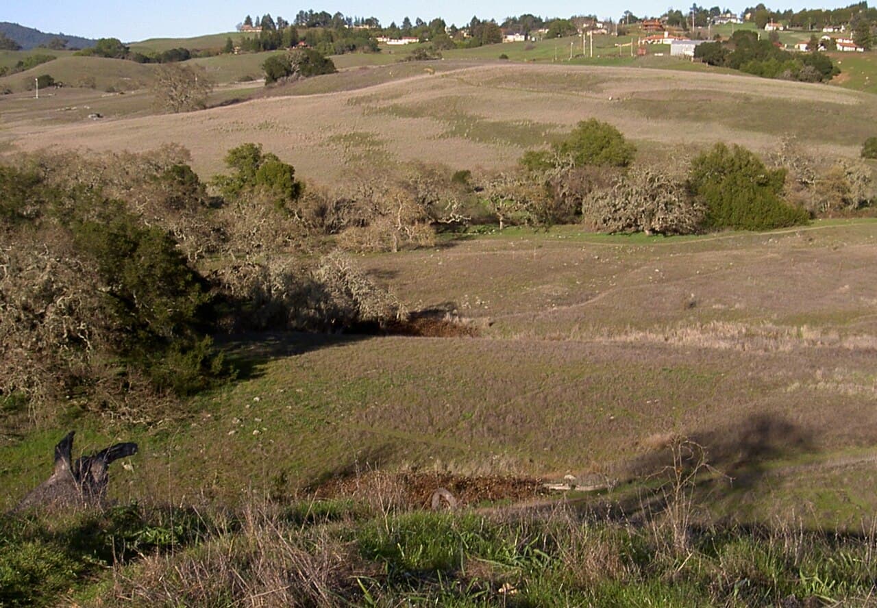 Rolling grassland and oak thickets in Crane Creek Regional Park in the hills east of Rohnert Park