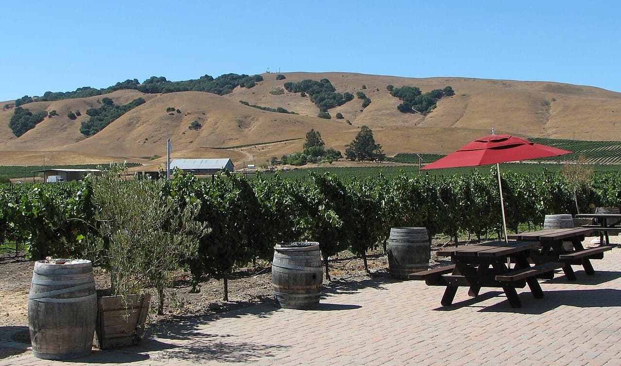 Picnic tables under red umbrellas on a brick patio beside the vineyard, golden hills behind, at Robledo Family Winery
