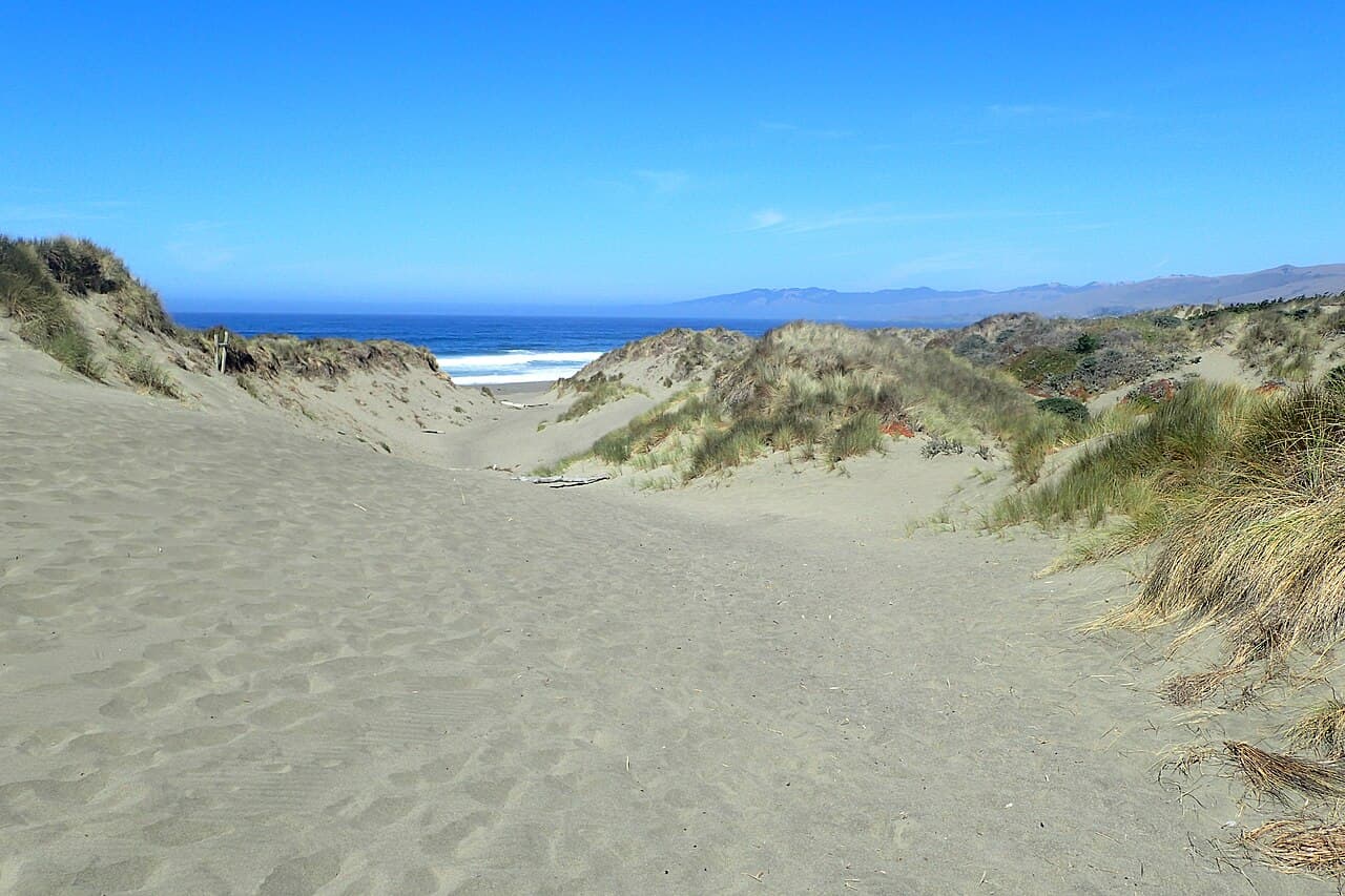 Sandy trail between grass-covered dunes leading to the ocean at Bodega Dunes, Sonoma Coast State Park