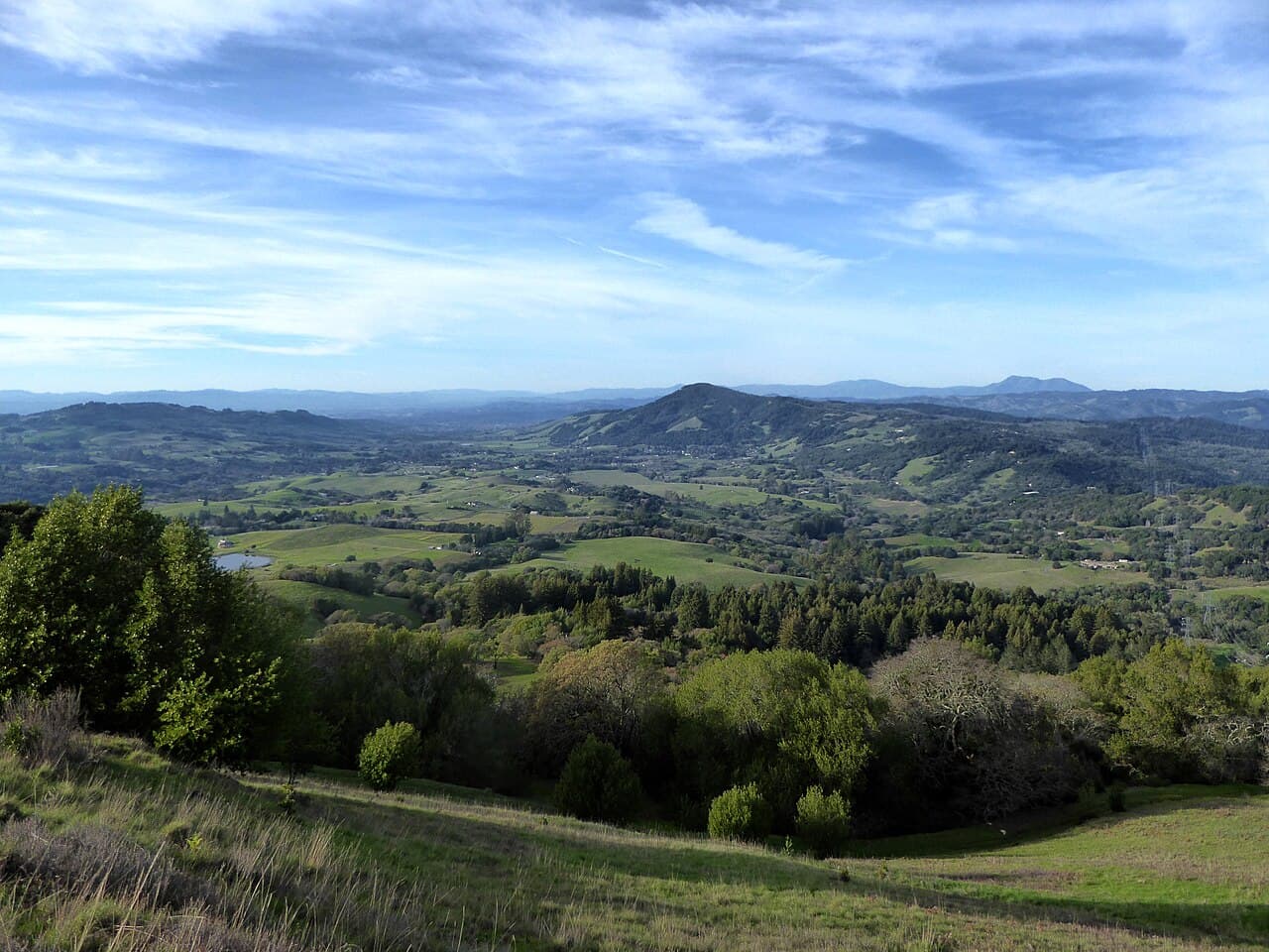Grassy slope and oak woodland looking out over the green hills of Bennett Valley from North Sonoma Mountain Regional Park