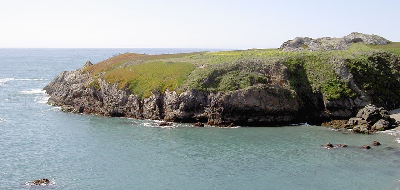 Rocky Duncan's Point headland with green and orange ground cover above calm water on the Sonoma Coast