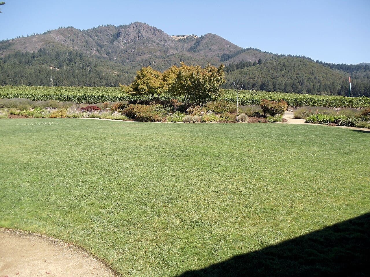 Broad lawn and garden beds looking toward vineyards and the Mayacamas range at St. Francis Winery