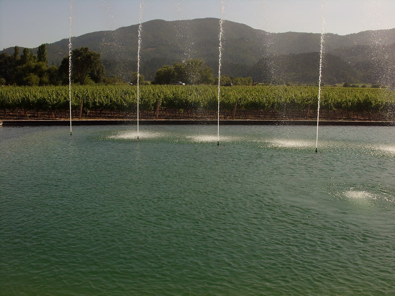 Fountain jets over the reflecting pool in front of the vineyards and wooded hills at Alpha Omega Winery