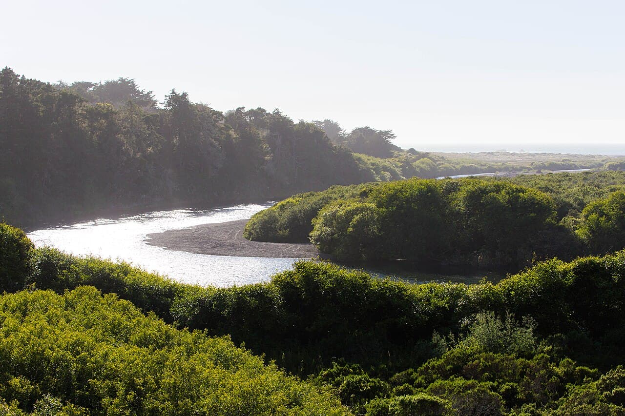 The Gualala River winding past sandbars and dense coastal scrub toward the ocean at Gualala Point Regional Park