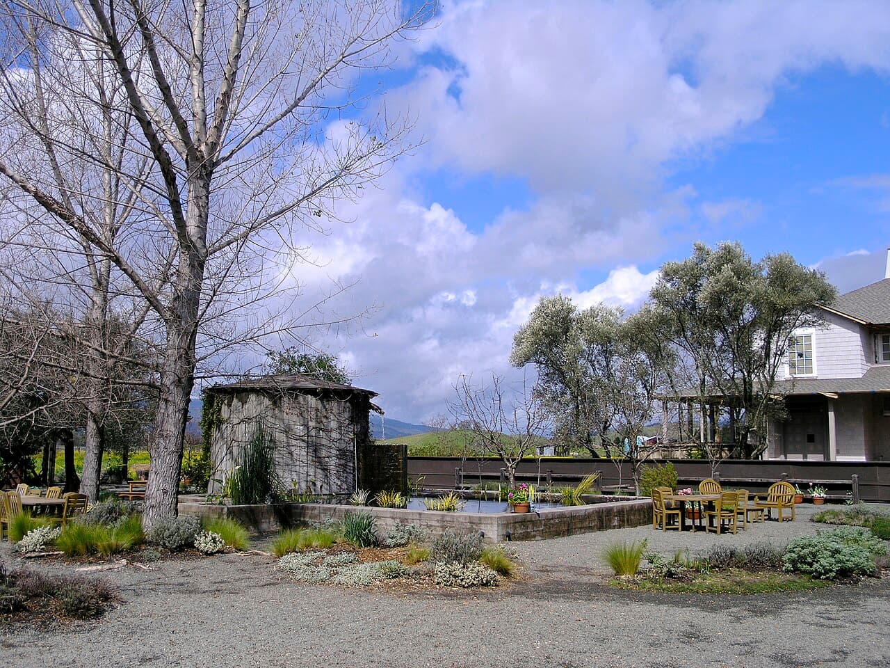 Garden tasting tables among low plantings, bare trees and a small rustic shed beside the farmhouse at Frog's Leap Winery