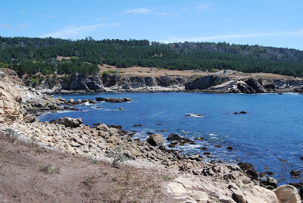 Blue water of Gerstle Cove ringed by sandstone rocks and pine forest at Salt Point State Park