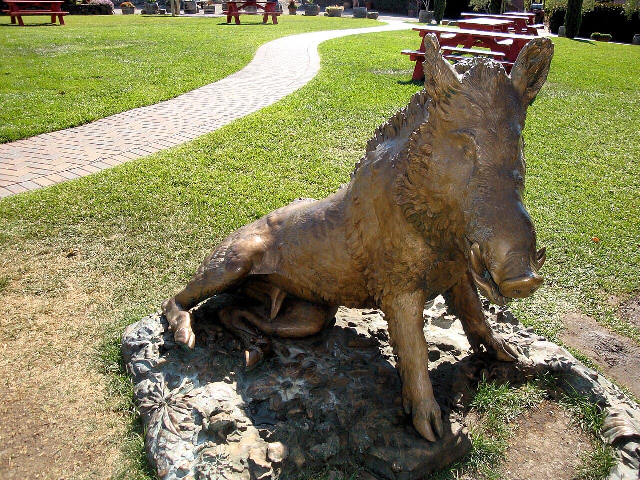 Bronze boar statue on the lawn at Viansa, with red picnic tables along the brick path behind it